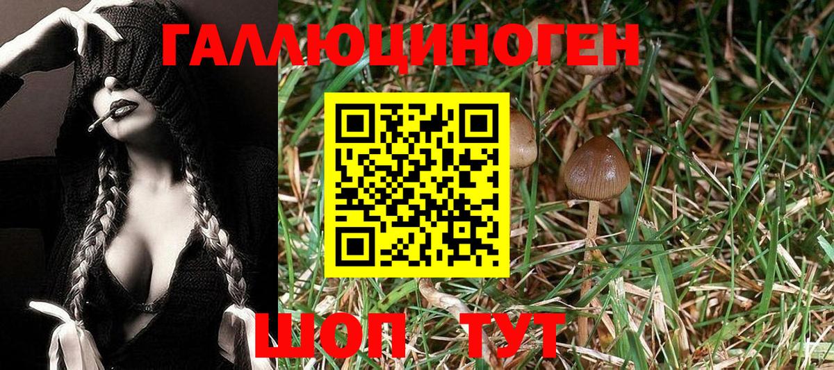 Славянск-на-Кубани  Псилоцибиновые грибы Cubensis  Вход с VPN 